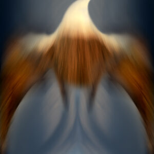 ARTMSTRS ONLINE ART GALLERY Loek van Walsem is a featured Photographic artist @ ARTMSTRS an internationally rescpected artist Loek van Walsem, photographer and featured artist @ARTMSTRS RISE OF THE PHOENIX