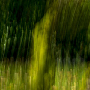 ARTMSTRS ONLINE ART GALLERY Loek van Walsem is a featured Photographic artist @ ARTMSTRS an internationally rescpected artist Loek van Walsem, photographer and featured artist @ARTMSTRS CAUGHT BY THE RAIN