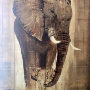 ARTMSTRS ONLINE ART GALLERY Karina Wijnen Elephant on steenschot