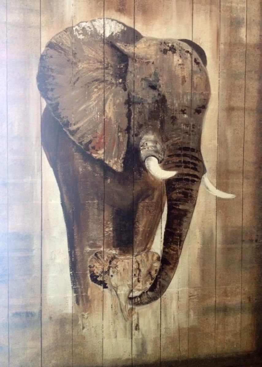 Elephant on steenschot