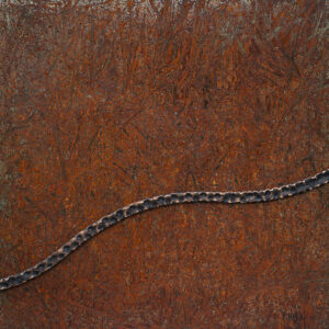 ARTMSTRS ONLINE ART GALLERY Ruud Termijn Snake in the Grass