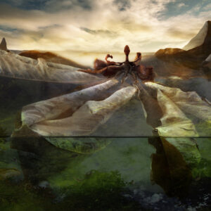 Imaginairy landscape