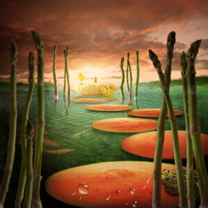 Surrealistisch landschap