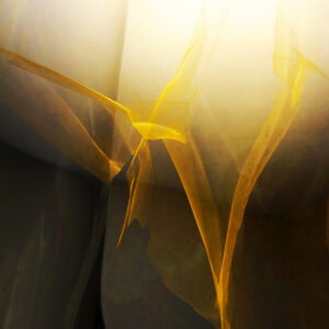 Yellow movement