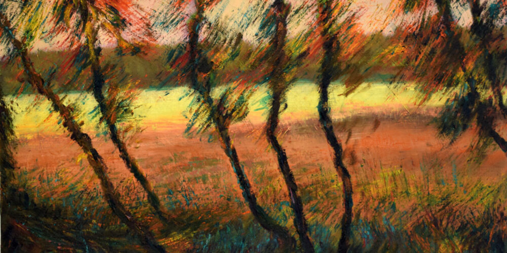 Dish brush and freedom