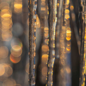 Sparkles