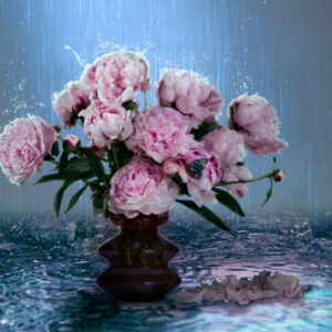 Peonies