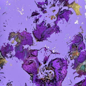 The velvet Violet