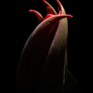 Beckoning