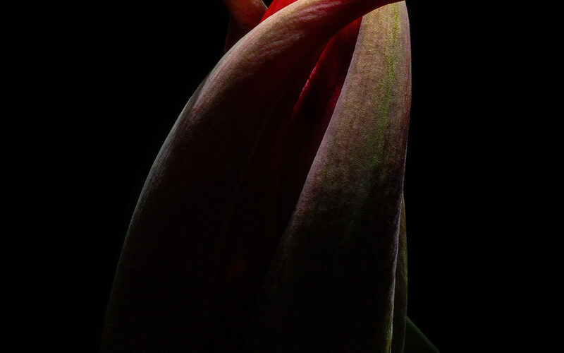Beckoning