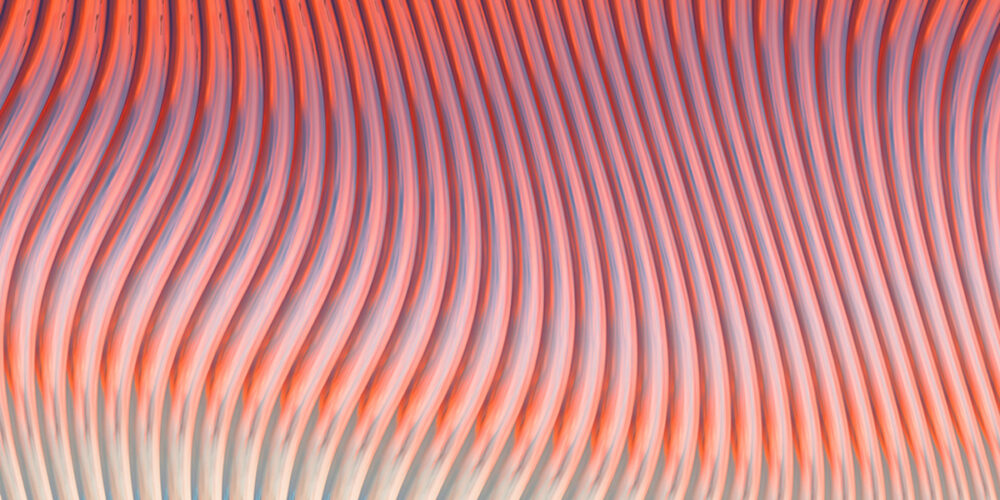 RITMO   Flower Power