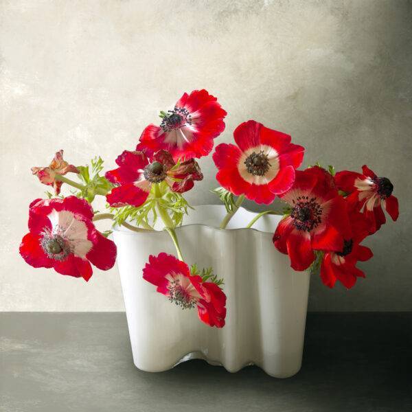 Stilleven met bleomen