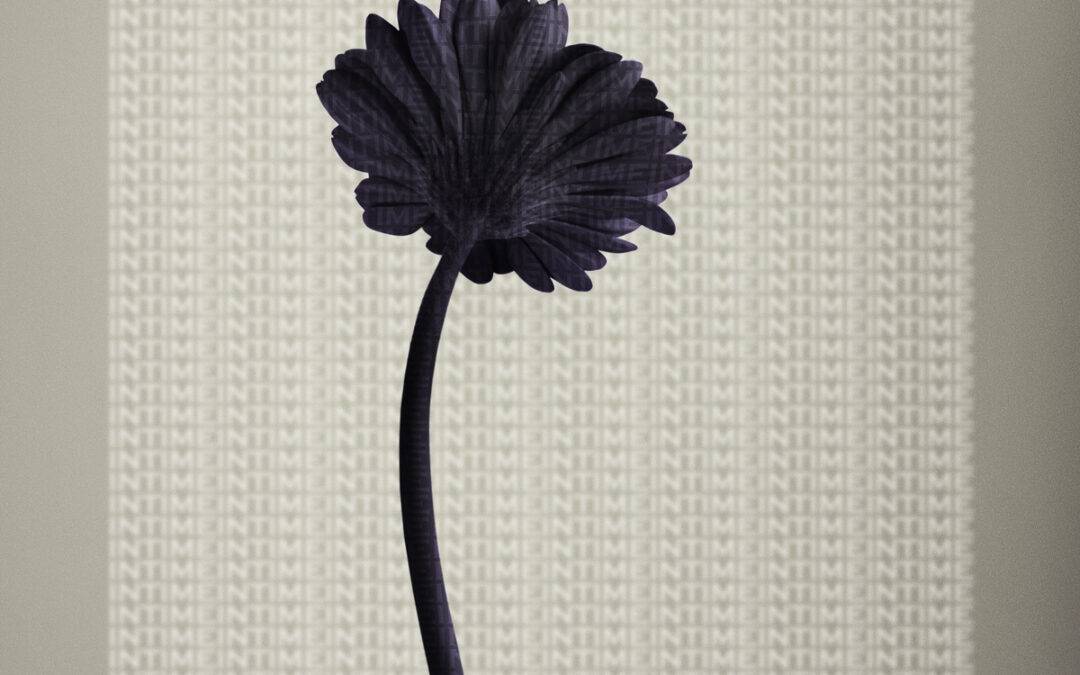 What collectors look for in emerging artists