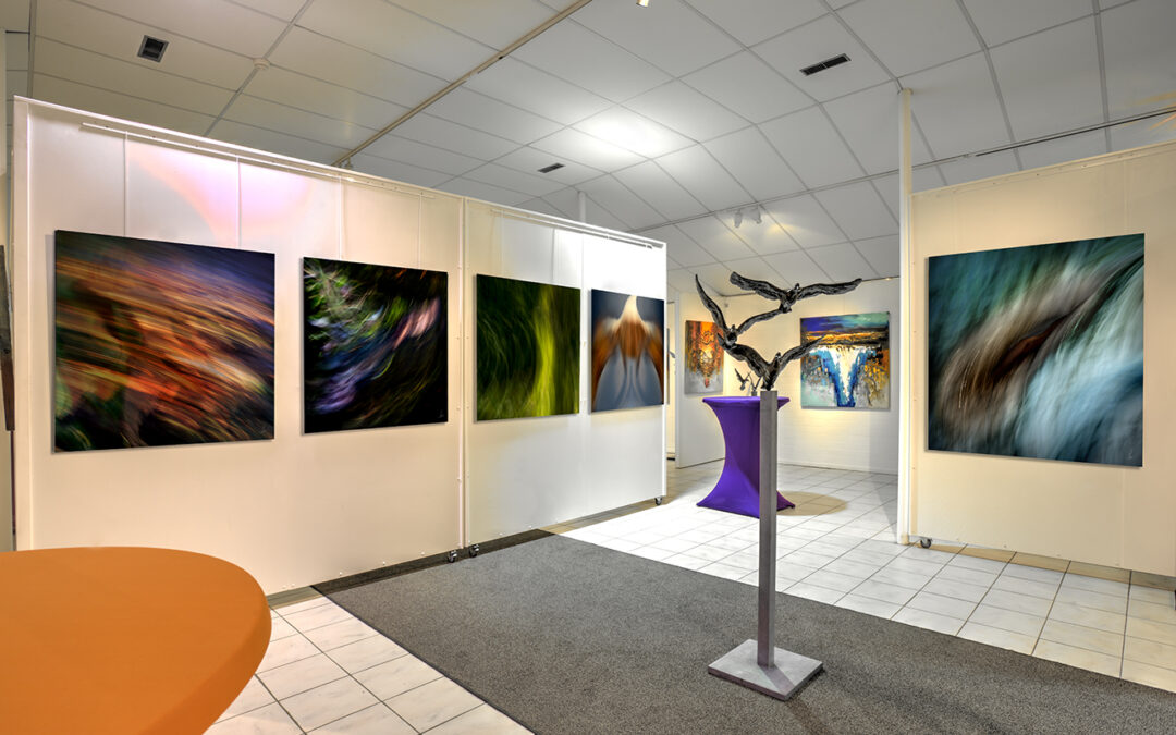 How to move from hobbyist to professional artist step by step