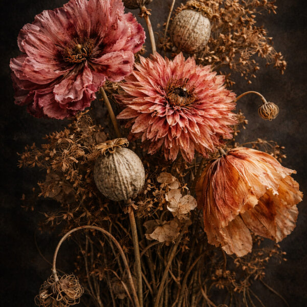 Wilting blooms Moody light