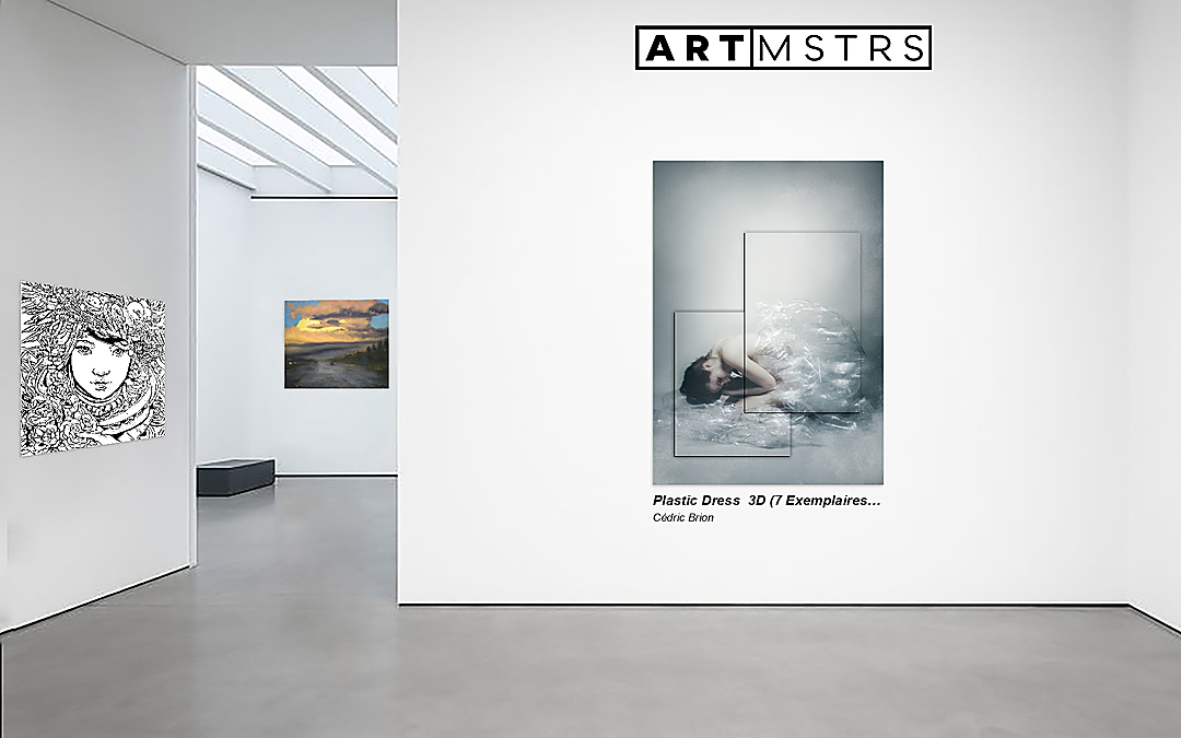 Plastic Dress 3D (7 Exemplaires Relief Artwork) Dibond — Cédric Brion (ARTMSTRS Buyers)