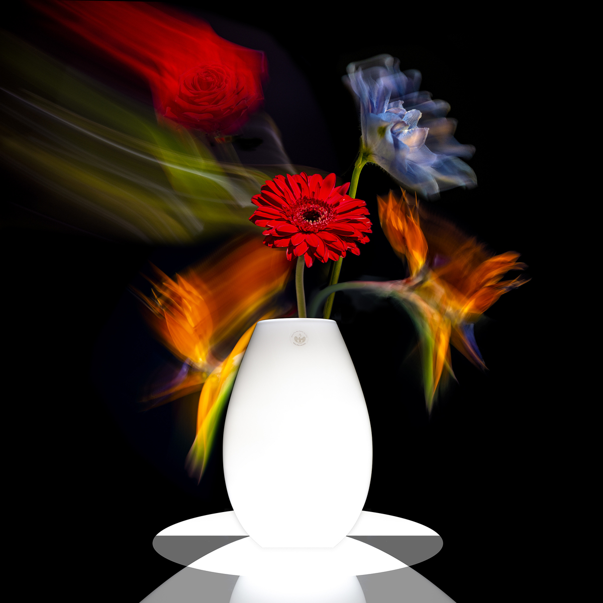 Luke Bilas — Fluid Flowers