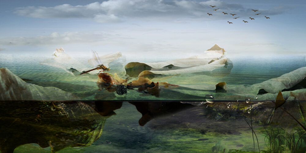 Imaginair landschap