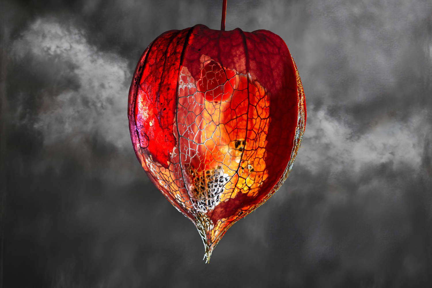 Recently sold artwork on ARTMSTRS