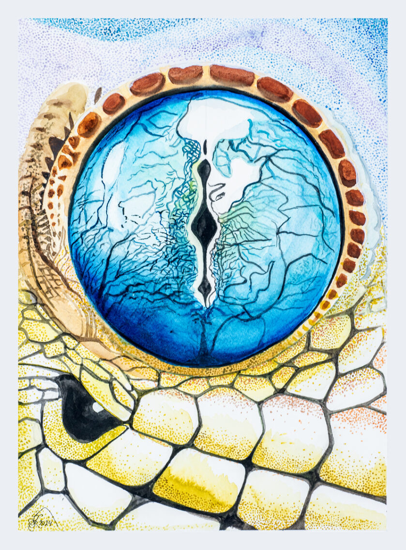 Gekko-eye