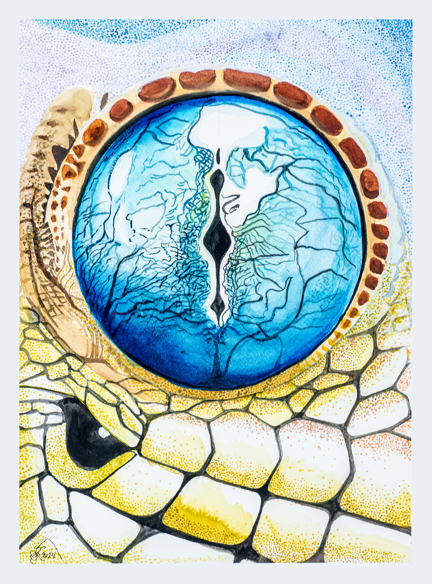 Gekko-eye