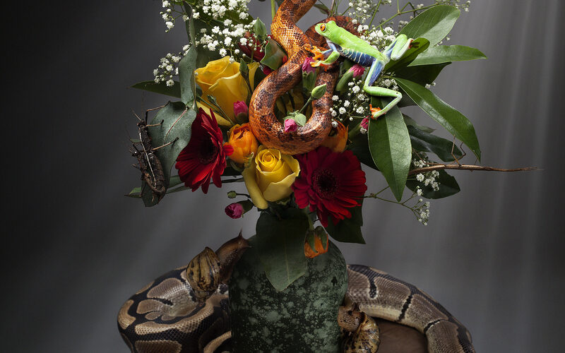 Le Bouquet